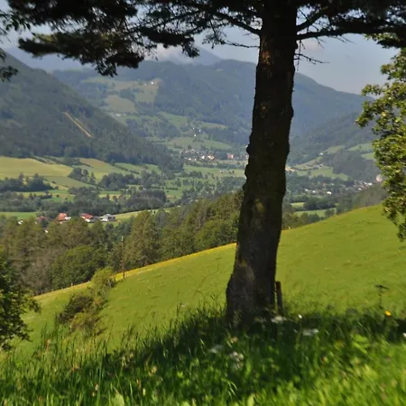 Panzió Fruhstuckspension Bischof I D Wiesen Sankt Peter am Kammersberg