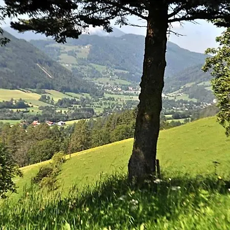Bed & Breakfast Fruhstuckspension Bischof I D Wiesen 3*