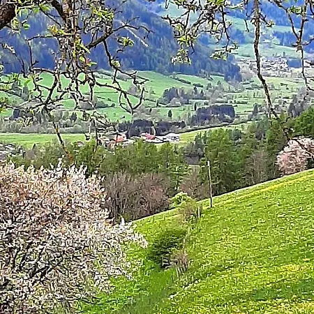 Fruhstuckspension Bischof I D Wiesen Bed & Breakfast Sankt Peter am Kammersberg