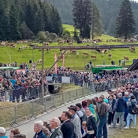 Frühstückspension Fruhstuckspension Bischof I D Wiesen