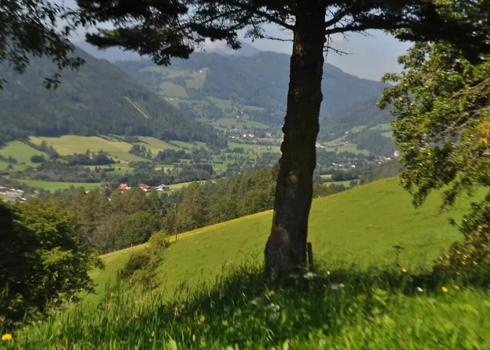 Bed & Breakfast Fruhstuckspension Bischof I D Wiesen Sankt Peter am Kammersberg