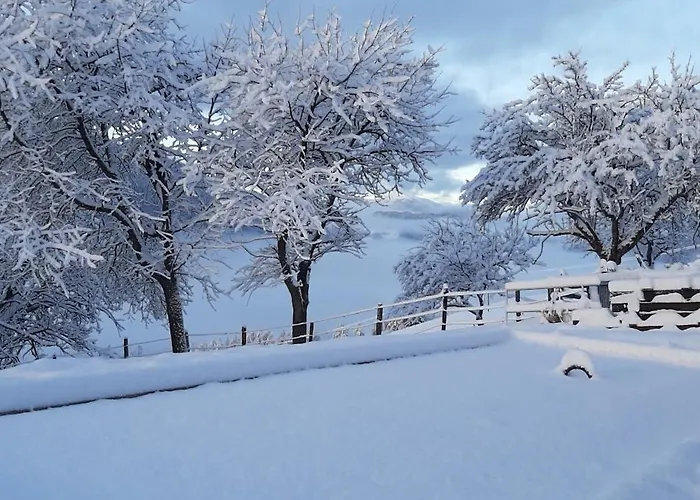 Bed & Breakfast Fruhstuckspension Bischof I D Wiesen 3*