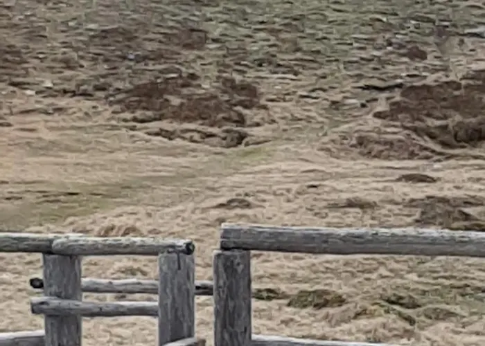 Bed & Breakfast Fruhstuckspension Bischof I D Wiesen Sankt Peter am Kammersberg