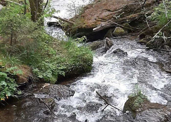 Fruhstuckspension Bischof I D Wiesen 3*